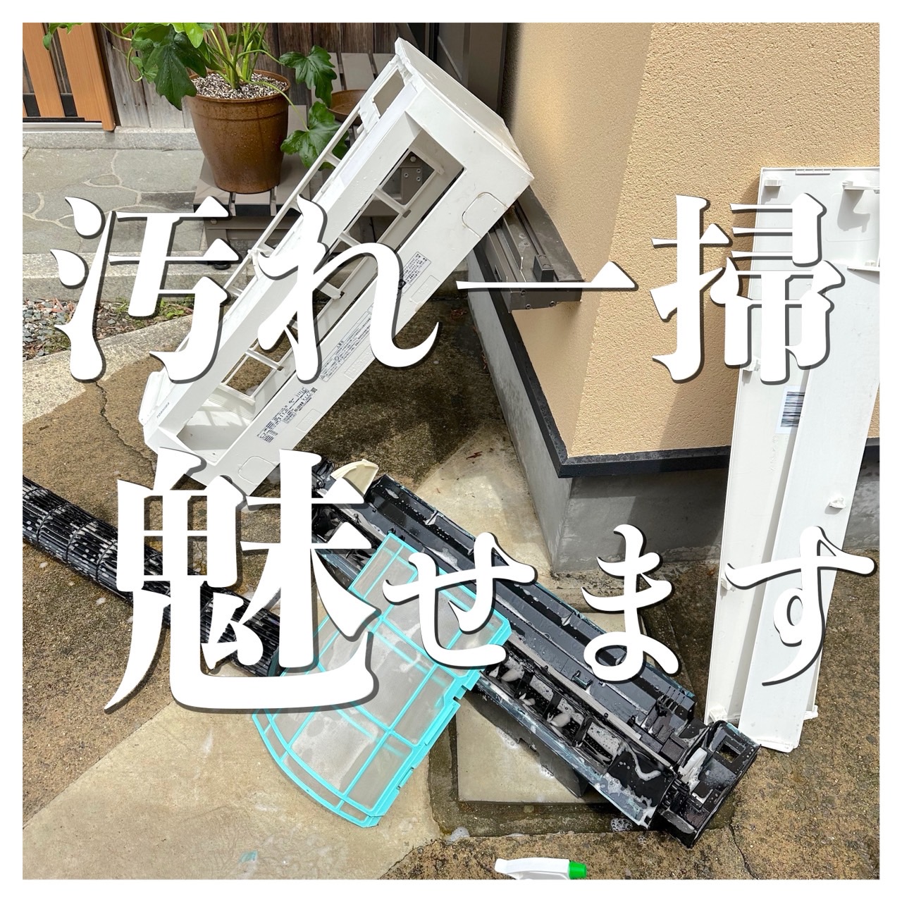 大阪市内でペットを飼われている方必見‼️ 汚れたエアコンが完全分解洗浄で新品みたいに蘇ります‼️