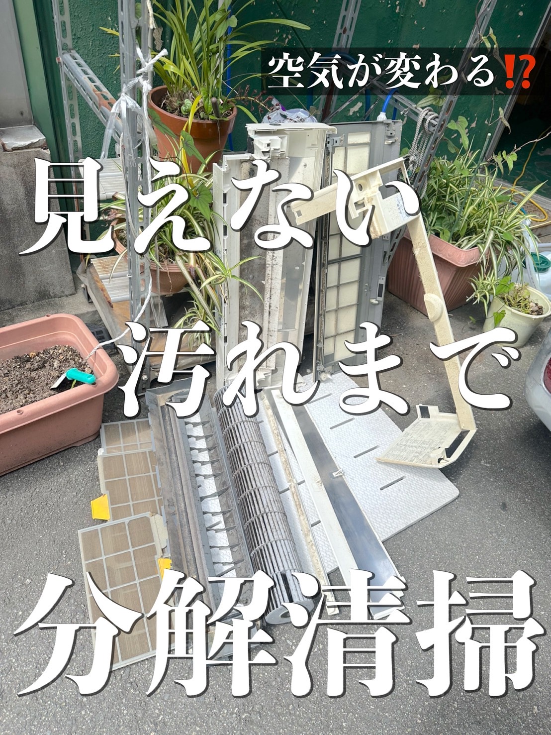 大阪で日立しろくま君を確実に綺麗にしたい方必見！洗浄方法に秘密があります‼️