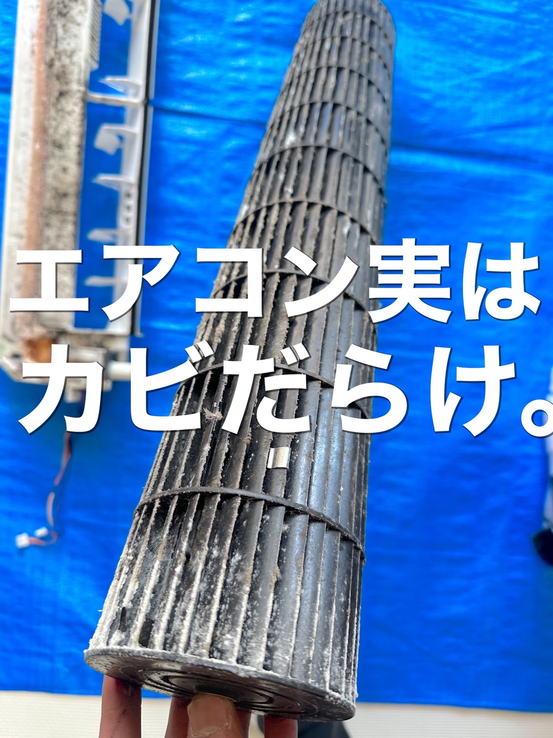 【即日対応】大阪でカビ除去対応のエアコンクリーニング業者
